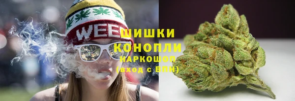 гашик Алзамай