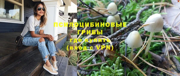 гашик Алзамай