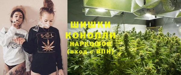 шишки Алексеевка