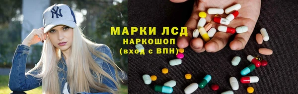 гашик Алзамай