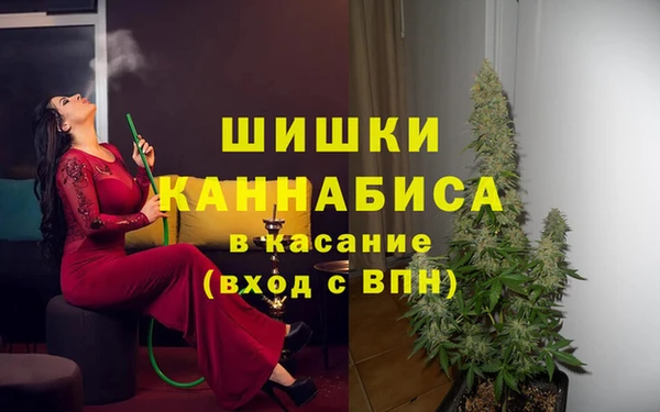 шишки Алексеевка