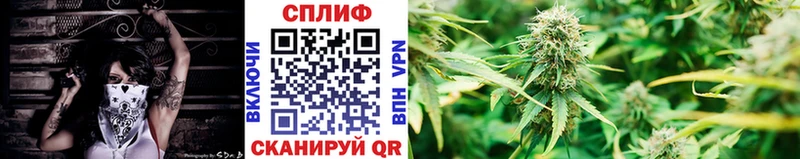 где купить наркотик  Североуральск  Марихуана VHQ 